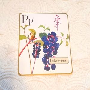 4 for $25! Letter P Pokeweed Card with Fairy